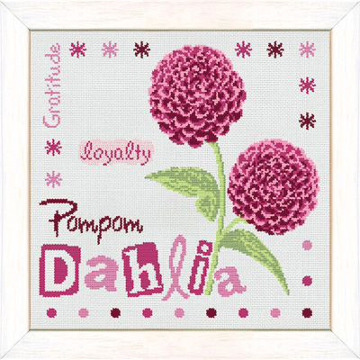 Pompom Dahlia